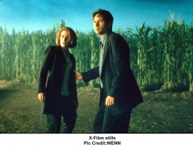 David Duchovny