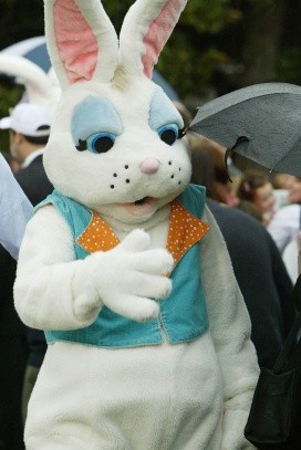 The Easter Bunny