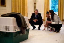 Sasha Obama