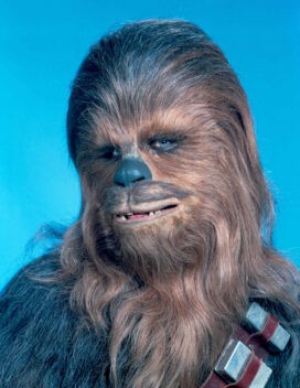 Peter Mayhew